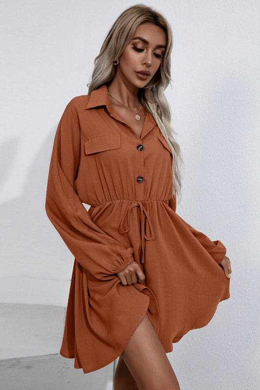 Madeline Collared Shirt Dress