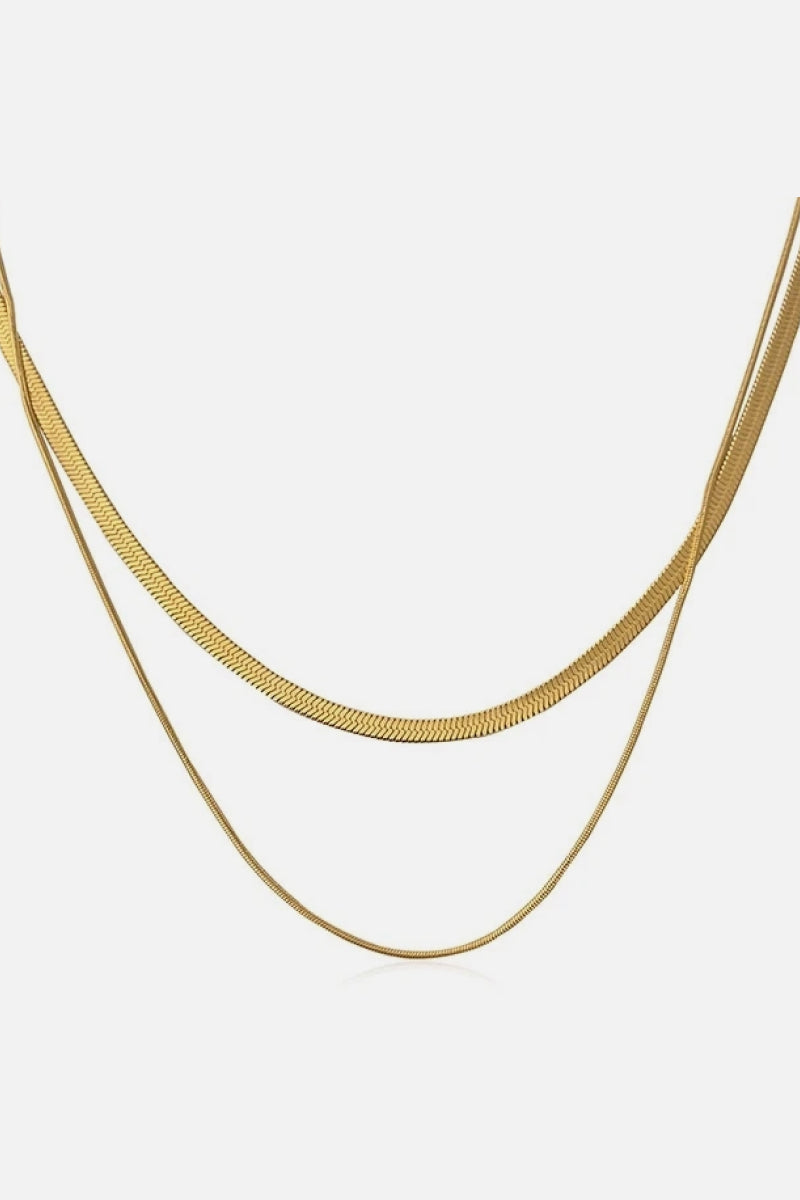 Ariella Double Layered Necklace